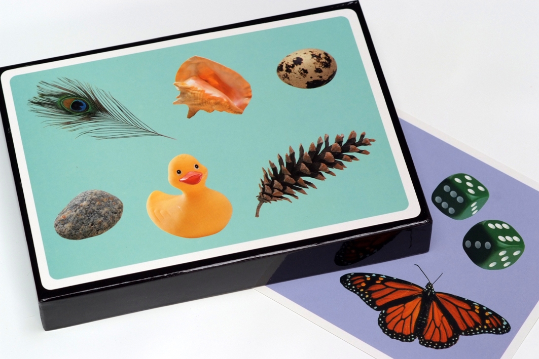 Wat hoort er niet bij? ColorCards® -- 001-4378