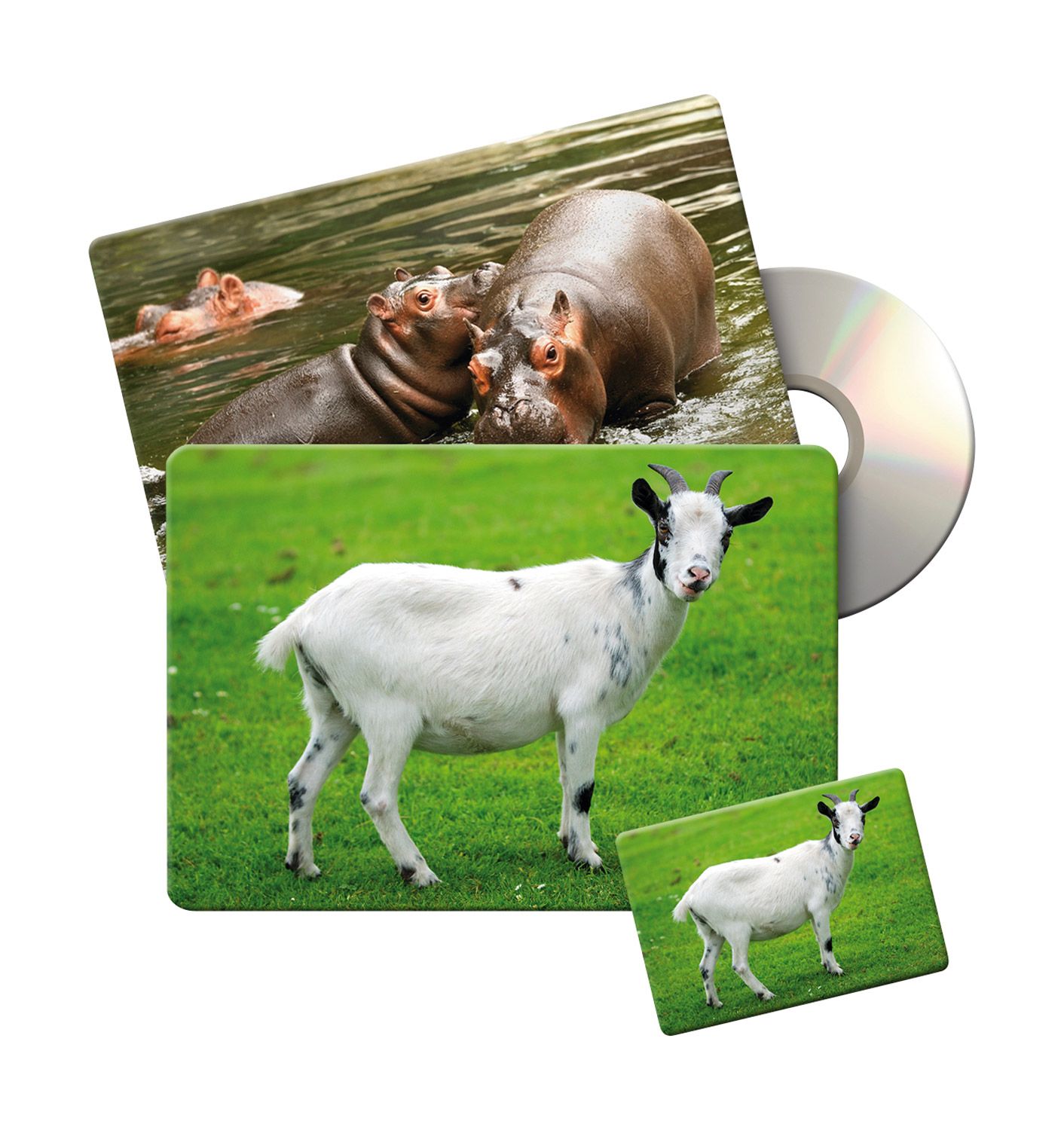 Lotto de sons et de bruits d’animaux + images évocatrices 30 grandes et 30 petites cartes -- 558362