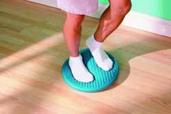 Optie hoes Ø 39 cm voor dynamisch oefenkussen Disco ' Sit -- 4009927